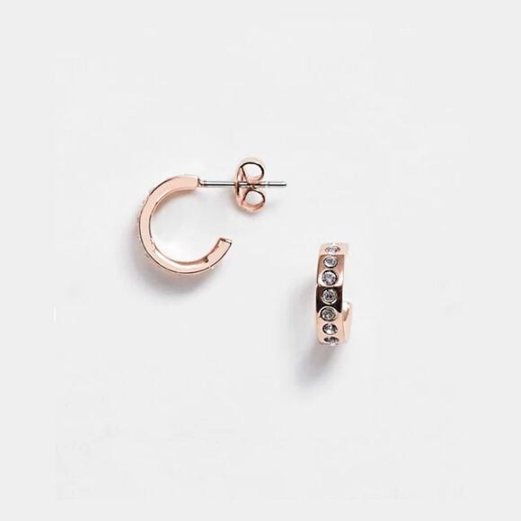 ❤︎ Ted Baker ❤︎ Seeni Mini hoop huge swarovski crystal earrings - Picture 6 of 7